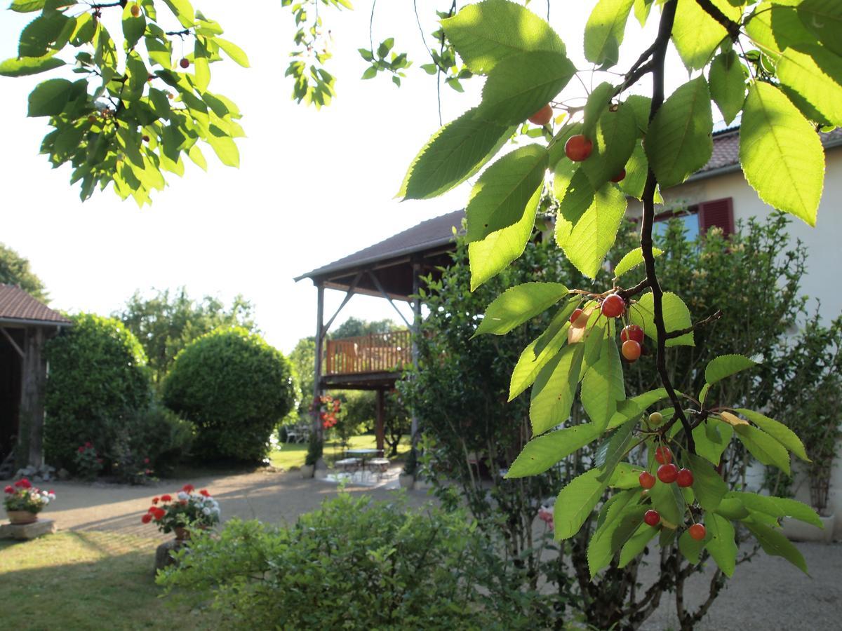 Les Jardins De Lily Hotell Saint-Léonard-de-Noblat Exteriör bild