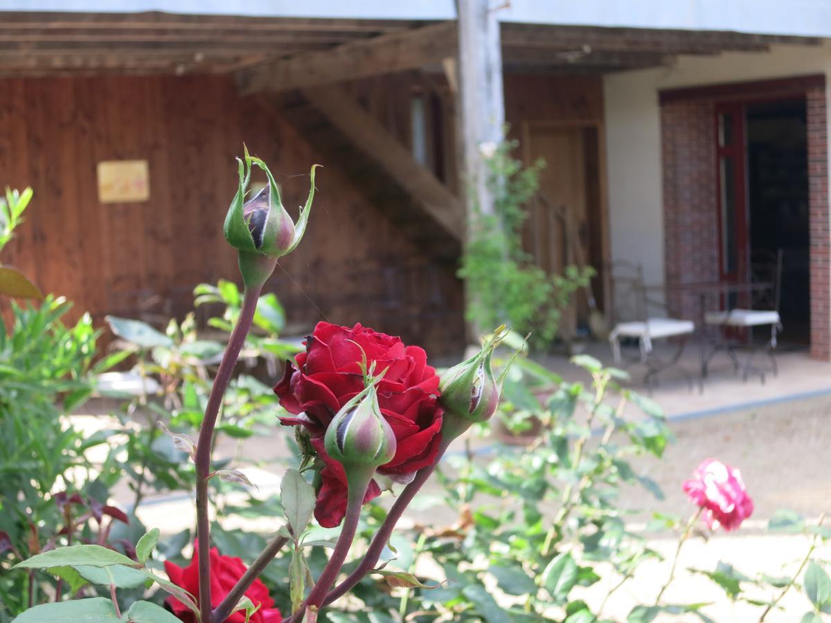 Les Jardins De Lily Hotell Saint-Léonard-de-Noblat Exteriör bild